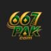 667pk-game